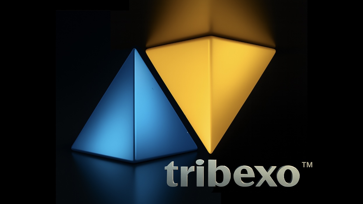 Tribexo Logo